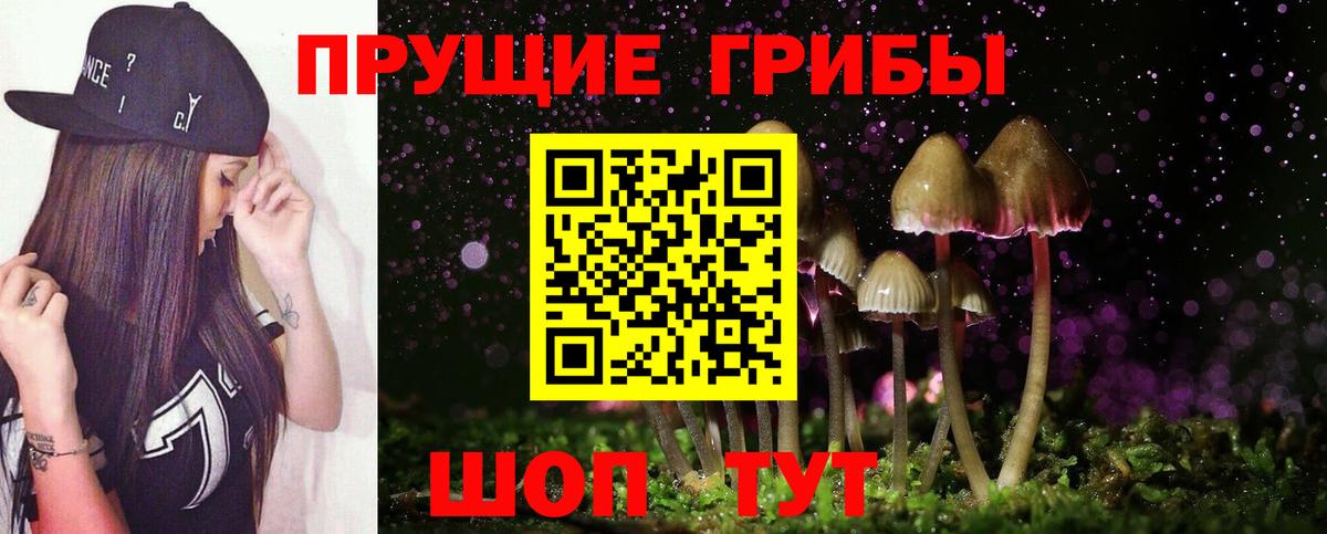 Сокол  Галлюциногенные грибы Psilocybine cubensis  Вход с VPN 